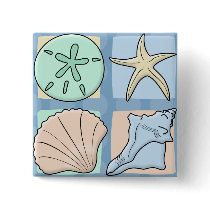 Fun Colourful Shells