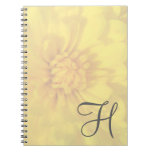 Fun Notebook notebooks
