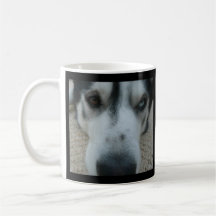 Fundraising Mug