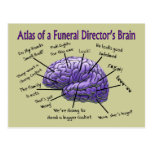 Funeral Director/Mortician Funny Brain Design Postcard
