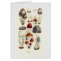 Fungi Card