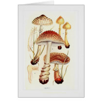 Fungi Card