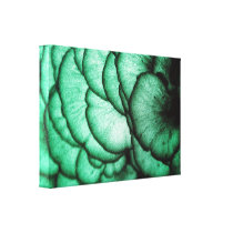 Fungi Flowers/Nature's Abstract Canvas Prints