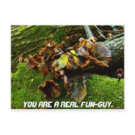 FUNGI resized, YOU ARE A REAL FUN-GUY. Postcard
