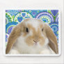 Funky Bunny Mouse Pads
