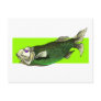 Funky Tropical Fish in Black and Green Post Card