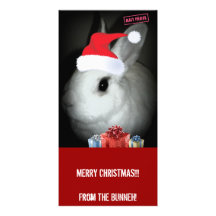 FUNNEH BUNNEH CHRISTMAS PHOTO CARDS