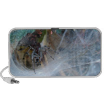 Funneling Wolf Spider ~ Kimberly P-Chadwick Mp3 Speakers