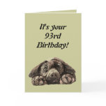 Funny 93rd Birthday Customize Labrador Retriever Card