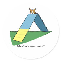 Funny A-Frame Corgi Agility