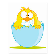 funny baby chick hatching from egg post cards