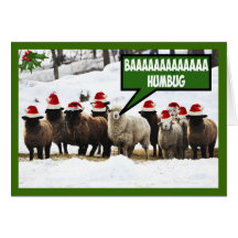 Funny Bah Humbug Greeting Cards