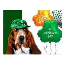 Funny Basset Hound. St. Patrick's Day Postcard