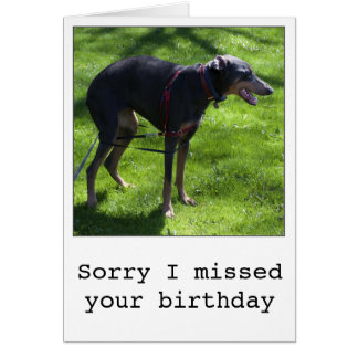 Funny Dog Birthday Cards, Photocards, Invitations & More