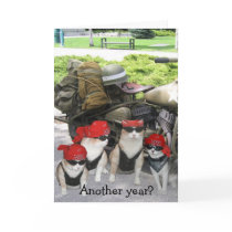 Funny Biker Cats Birthday