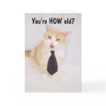 Funny Birthday Greeting Cards