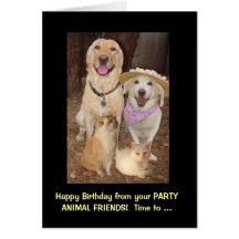 Funny Birthday from Group Cards