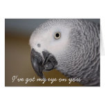 Funny Birthday Greeting Card