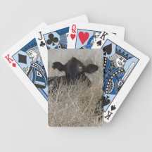 Funny Black Calf Cattle Face Western Playing Cards