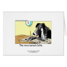 Funny Border Collie Greeting Card