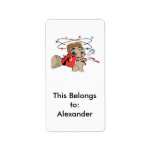 funny boxing cartoon punched in the face personalized address label