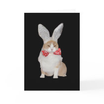 Funny Bunny Cat Valentine Greeting Card