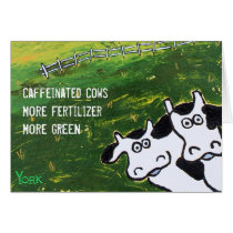 funny caffeinated cows card