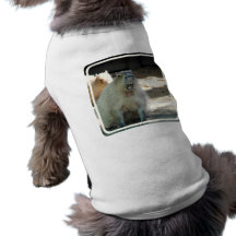 Funny Capybara  Pet Shirt