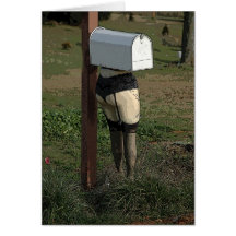 FUNNY CARD redneck mailbox