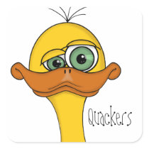 Funny Cartoon Duck