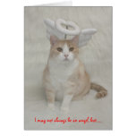 Funny Cat Angel Cards