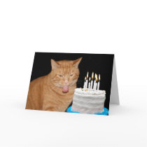 Funny cat birthday card