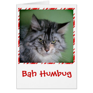 Funny Cat Christmas Cards, Photocards, Invitations &amp; More