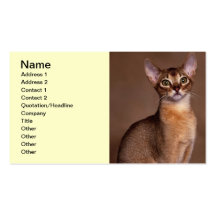 funny_cat_facial_expression_13 business card templates