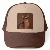 funny_cat_facial_expression_13 hats