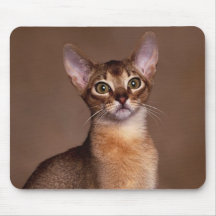 funny_cat_facial_expression_13 mousepads