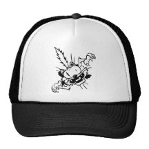 Funny Cat Hats