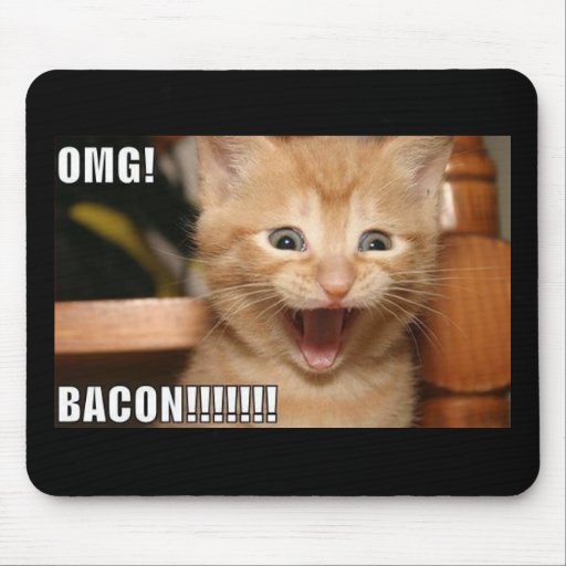 funny cat mouse pads