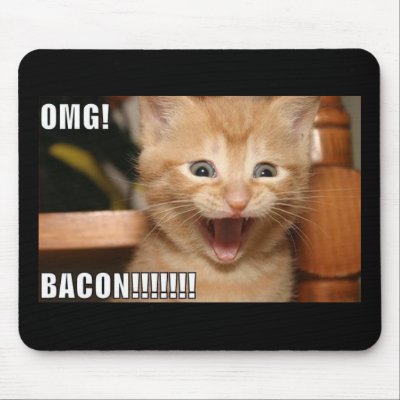 funny cat mouse pads by Dennysm91
