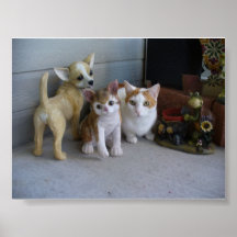 Funny Cat Poster