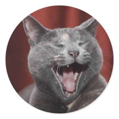 Funny cat round stickers by iiiyaaa