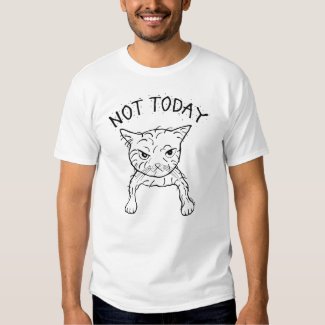 Funny Cat T-shirt Not Today Grumpy Angry Cat Tee