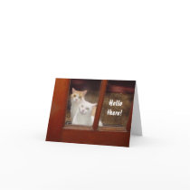Funny Cats Notecard