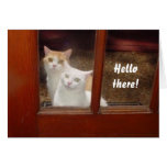Funny Cats Notecard