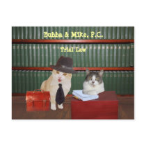 Funny Cats of Counsel