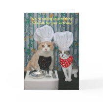 Funny Chef Cats Birthday