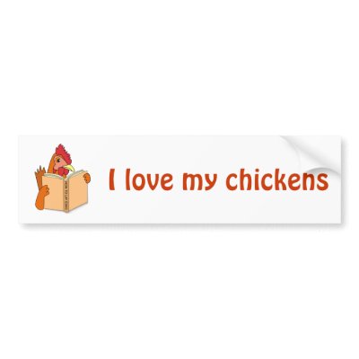 Funny Chicken Reading Book Cartoon Hen Bumper Stickers by alinaspencil