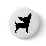 Funny Chihuahua