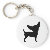 Funny Chihuahua