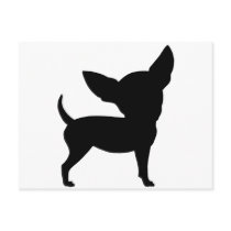 Funny Chihuahua Post Card